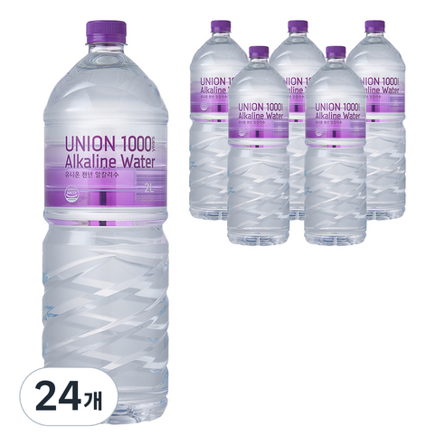 유니온천년알카리수, 2L, 24개
