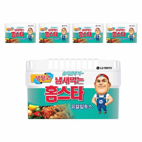 냄새먹는 홈스타 냉장고용 탈취제 유칼립투스, 420g, 5개
