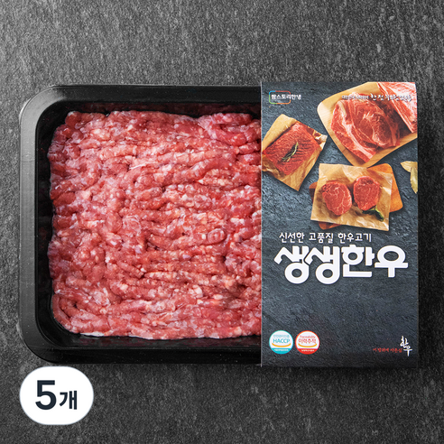 생생한우 1등급 다짐육 (냉장), 300g, 5개