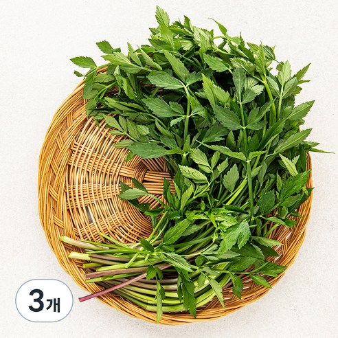 국내산 청도 미나리, 1kg, 3개