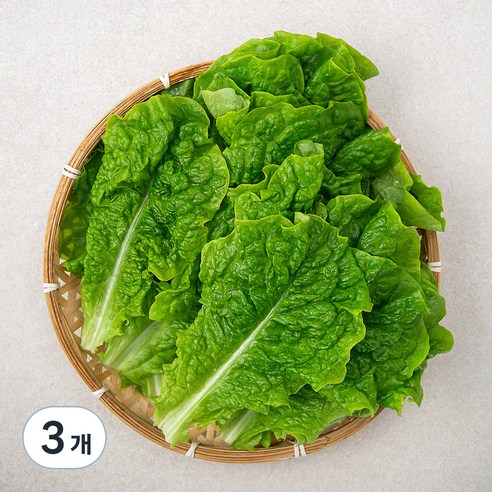 곰곰 청상추, 500g, 3개