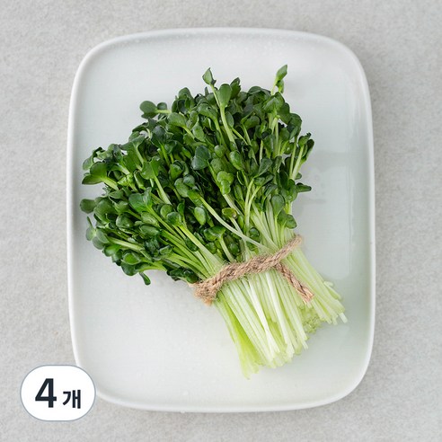 국내산 무농약 무순, 60g, 4개