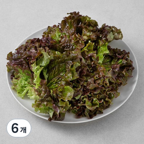 국내산 적상추, 150g, 6개