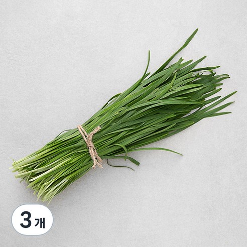 국내산 GAP 부추, 250g, 3개