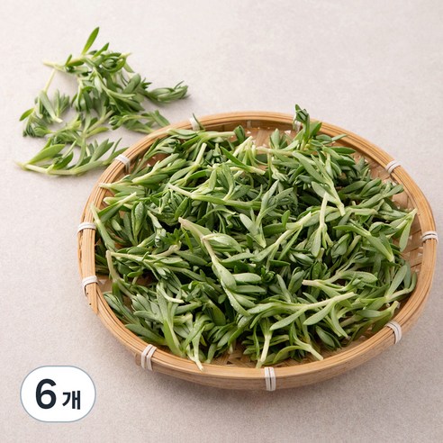국내산 돌나물, 150g, 6개
