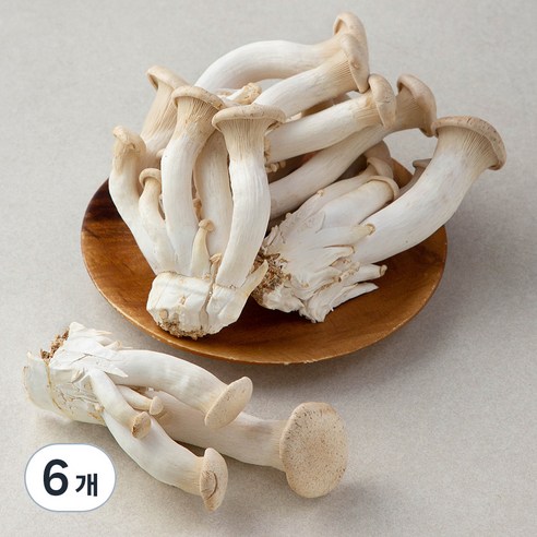 국내산 친환경 머쉬마루버섯, 600g, 6개