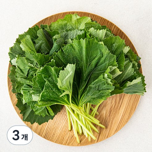 곰곰 국내산 머위잎, 1kg, 3개
