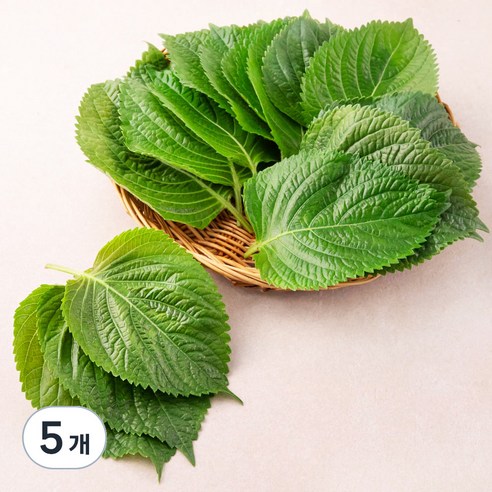 친환경 밀양 깻잎, 50g, 5팩