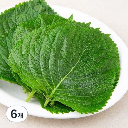 곰곰 GAP인증 밀양 깻잎, 100g, 6개