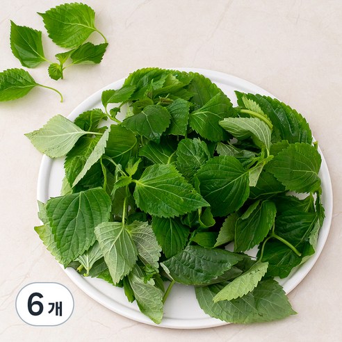 국내산 GAP 추부깻순, 200g, 6개