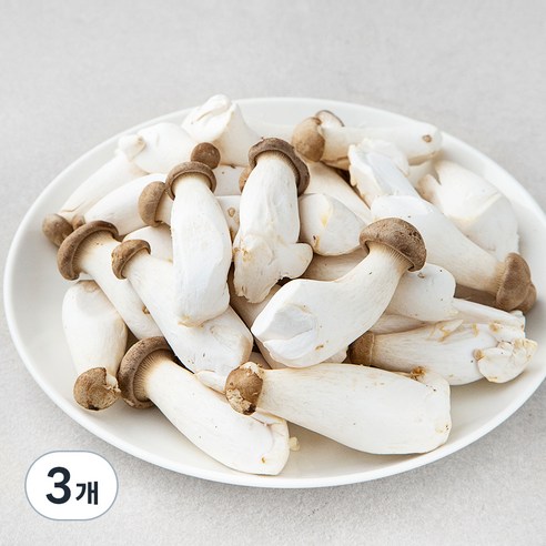 곰곰 친환경 미니 새송이버섯, 600g, 3개
