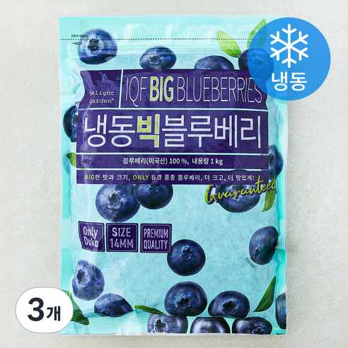 딜라잇가든 미국산 빅 블루베리 (냉동), 3개, 1kg