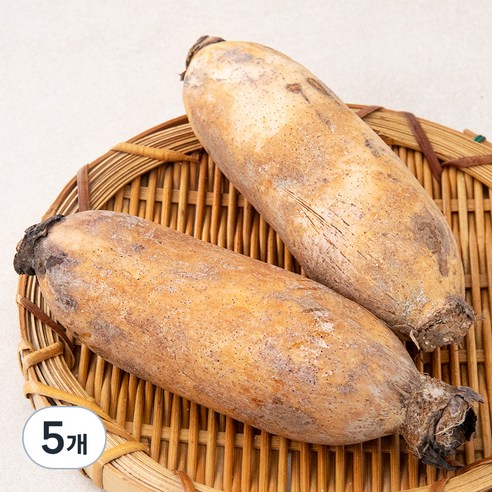 친환경 세척 연근, 5개