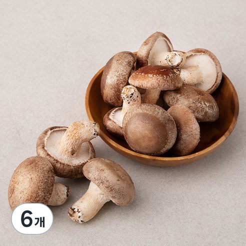 친환경 표고버섯, 300g, 6개