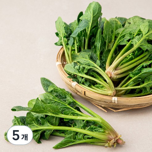 국내산 시금치, 500g, 5개
