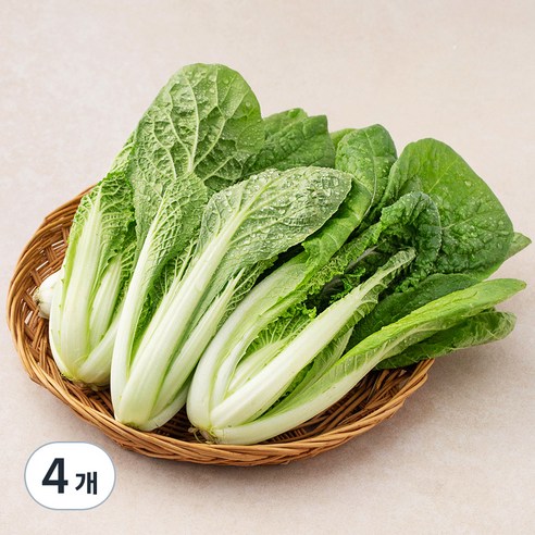 친환경 얼갈이, 300g, 4개