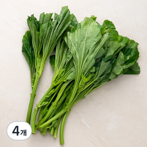 국내산 친환경 아욱, 300g, 4개