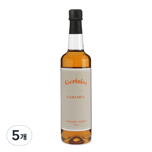 그리심 커피시럽 카라멜, 750ml, 5개
