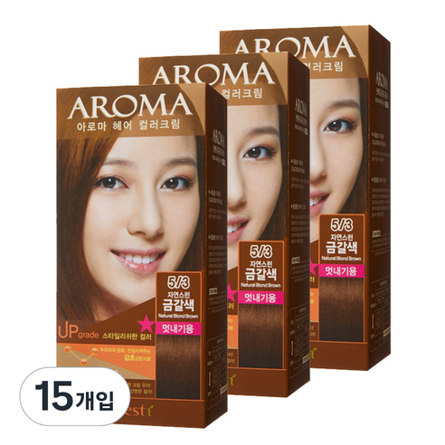 에네스티 아로마 염모제 멋내기용, 5/3 자연스런 금갈색, 15개입