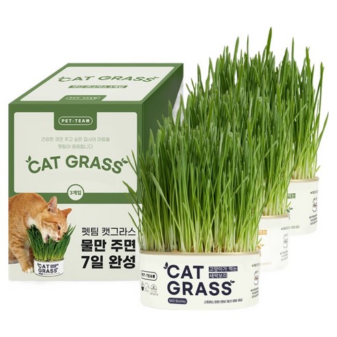 펫팀 캣그라스간식, 혼합맛(새싹보리/새싹귀리/새싹밀), 35g, 3개