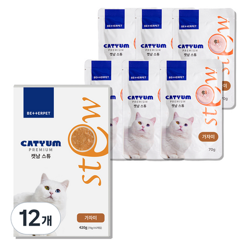 베러펫 캣냠 고양이 스튜 소프트 스프 습식사료 가자미, 70g, 12개, 생선