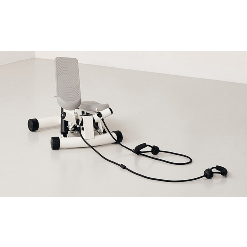 좁은 공간에서 즐기는 다이나믹한 전신 운동, 엑사이더 트위스트 스텝퍼 TS130