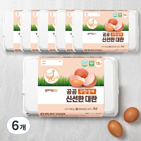 곰곰 무항생제 신선한 대란, 15구, 6개