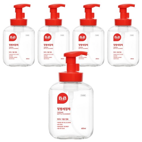 비앤비 거품형 젖병세정제, 450ml, 5개