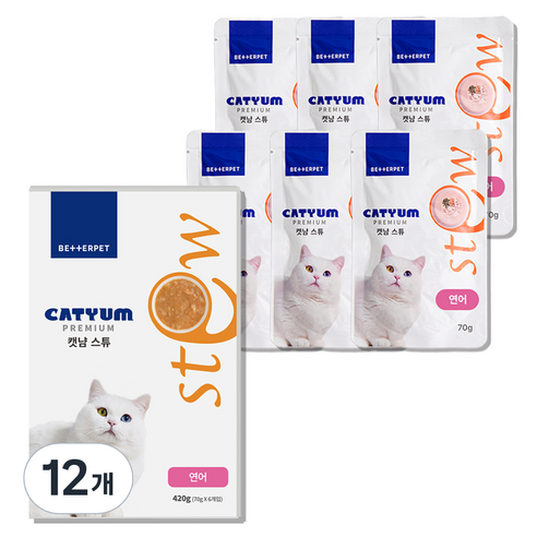 베러펫 캣냠 고양이 스튜 소프트 스프 습식사료 연어, 70g, 12개, 생선