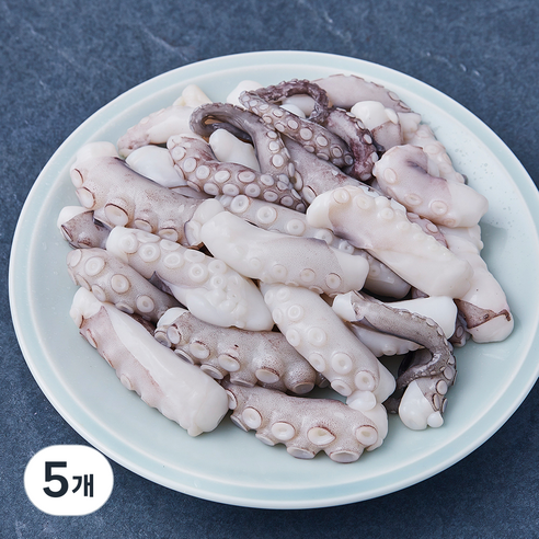 살맛나요 탱글탱글 요리하기 편한 절단 낙지 (냉장), 5개, 250g