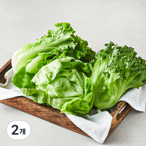 친환경 유러피안 모둠 샐러드용 채소, 300g, 1개입, 2개