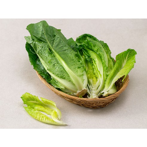 싱그러운 로메인, 건강한 식탁을 위한 첫걸음