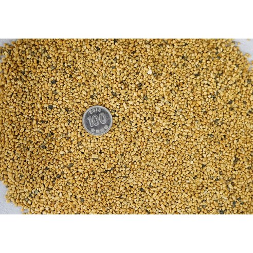 자연의 숨결로 식물에게 활력을!