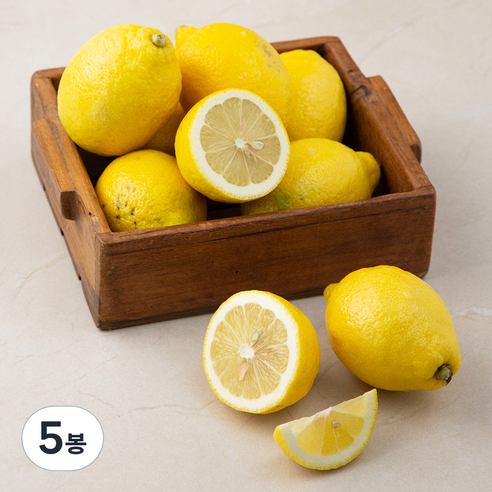 곰곰 칠레산 꼬마레몬, 1.5kg(꼬마), 5봉