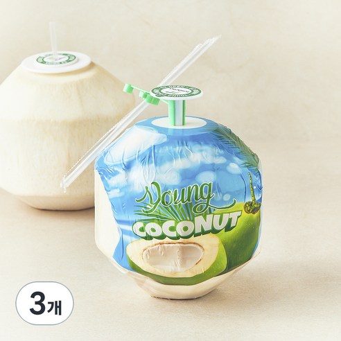 수플린 베트남산 영코코넛, 3개, 900g