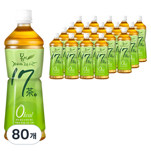 17차 몸이 가벼워지는 시간, 500ml, 80개