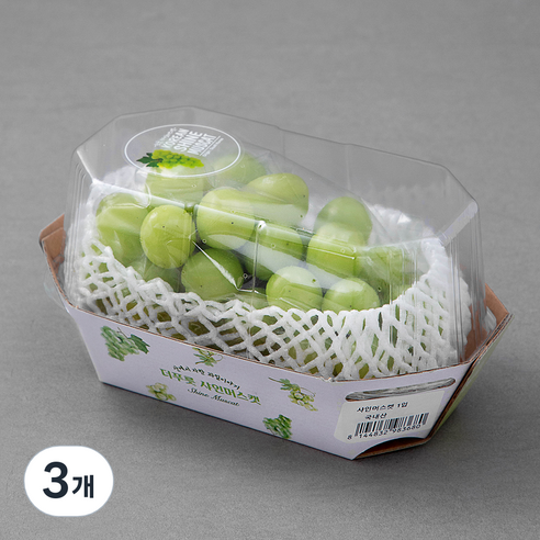 서상주 샤인머스켓, 600g, 3개