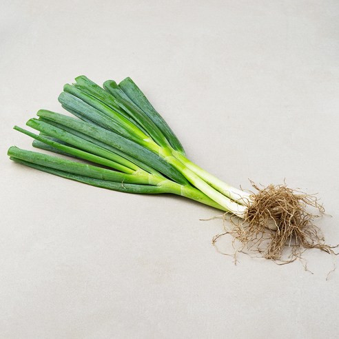 흙대파: 영양가 풍부한 채소의 풍미와 건강상 이점