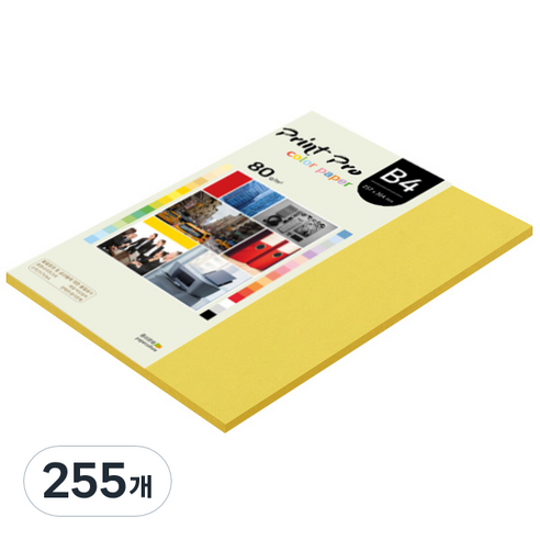 종이문화 프린트 프로 칼라 복사용지 No 06 딥옐로우 80g, B4, 255개