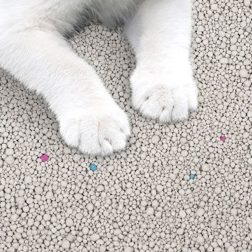 쾌적한 동행을 위한 선택, 탐사 벤토나이트 응고형 고양이 모래