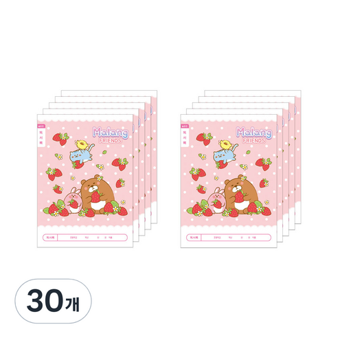 아이비스 여아용 독서록 넓은칸 초등 1-2 11586, 딸기, 30개