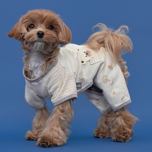 도그아이 반려견용 보들보들 순면 올인원 리뷰 강아지내복