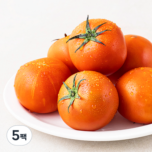 곰곰 GAP 완숙 토마토, 850g, 5팩