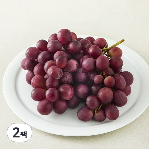 PSK 칠레 레드글로브, 1.2kg, 2팩