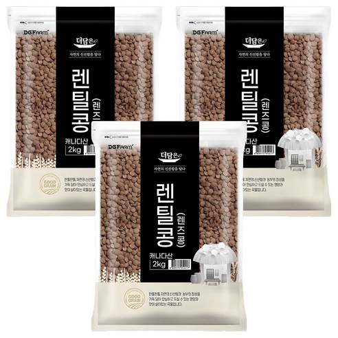 더담은 렌틸콩 렌즈콩, 2kg, 3개