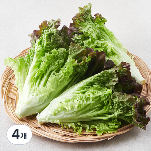 친환경 포기상추, 250g, 4개