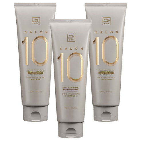 미쟝센 살롱 10 헤어트리트먼트 극손상모발용, 250ml, 3개