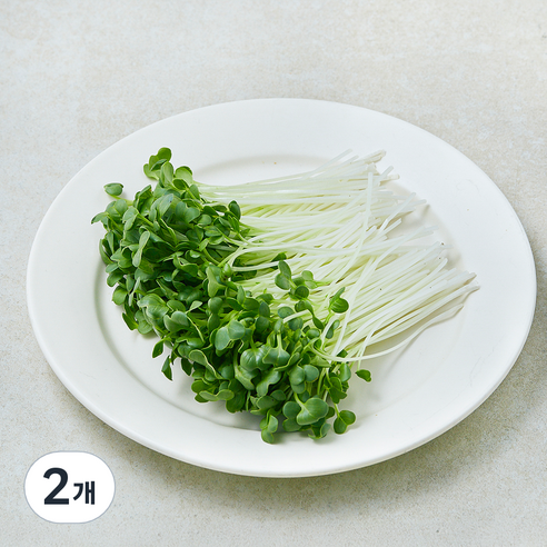 친환경 무순, 2개, 30g