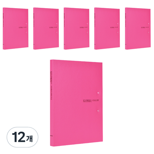 에코청운 에코 더블레버 화일 A4, 분홍, 12개