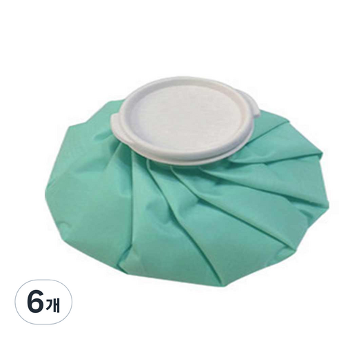 냉온 찜질 얼음주머니 L, 6개
